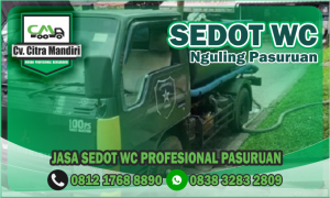 Sedot WC Nguling Pasuruan