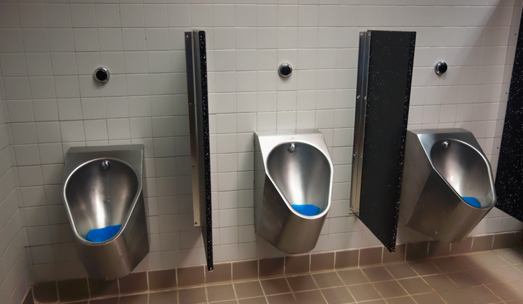 WC Wall Mounted
