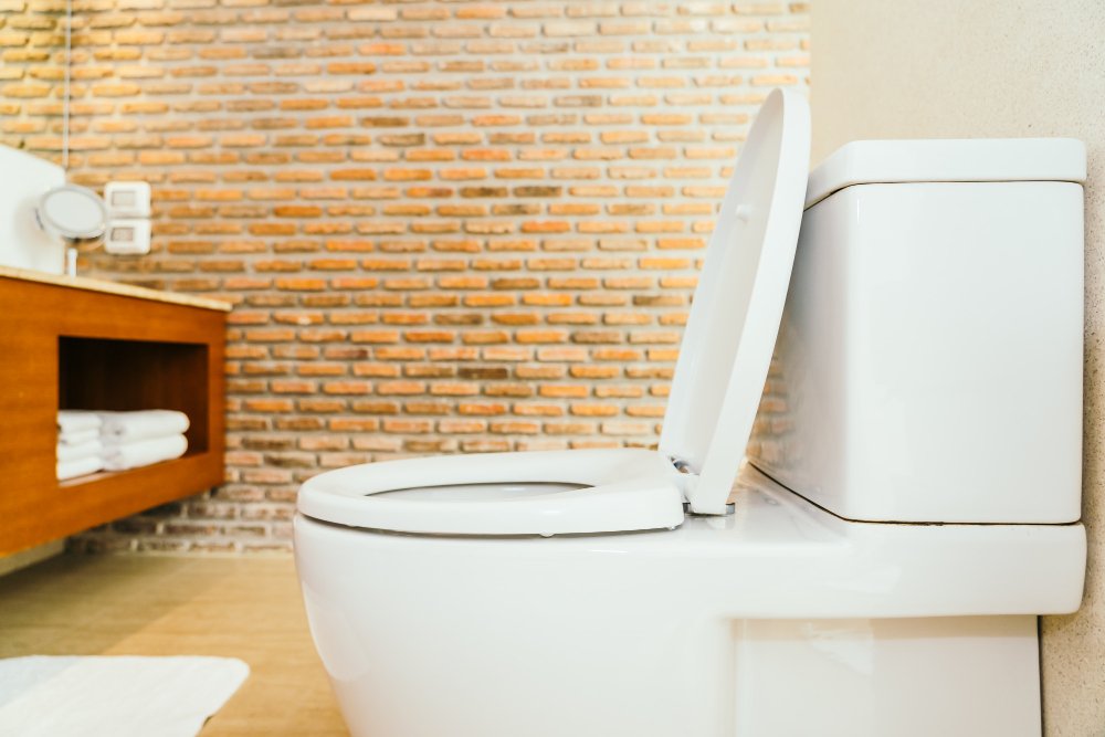 Ketahui 4 Cara Agar Lingkungan Tetap Bersih Saat Sedot WC