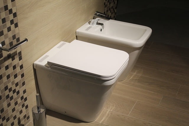 Tips Menghindari Penyebaran Penyakit Melalui Toilet