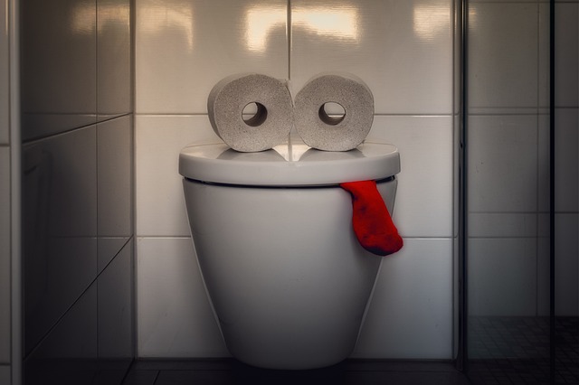 Waspada! Ini 7 Hewan yang Rajin ke Toilet