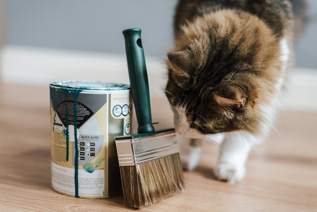 Kombinasi Warna Cat Tembok Aesthetic