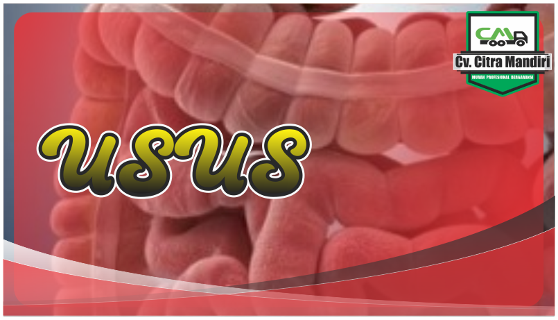 penyakit usus Penyakit usus