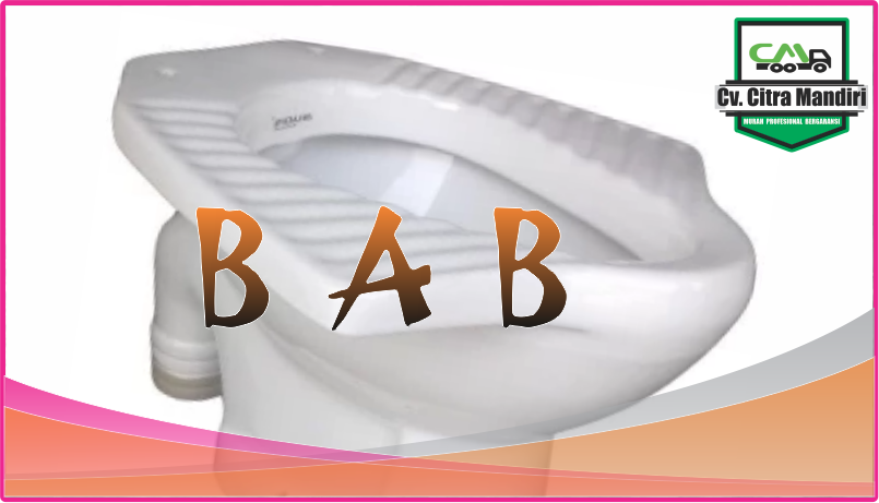 pola bab buang air besar yang sehat pola bab buang air besar yang sehat