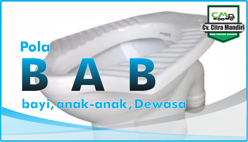 pola bab pada bayi anak anak dan dewasa pola bab pada bayi anak anak dan dewasa