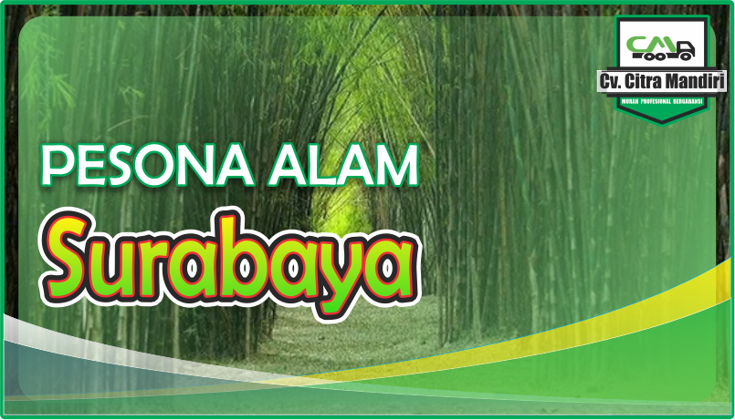 wisata alam surabaya wisata alam surabaya