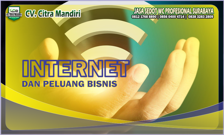 INTERNET dan peluang bisnis INTERNET dan peluang bisnis