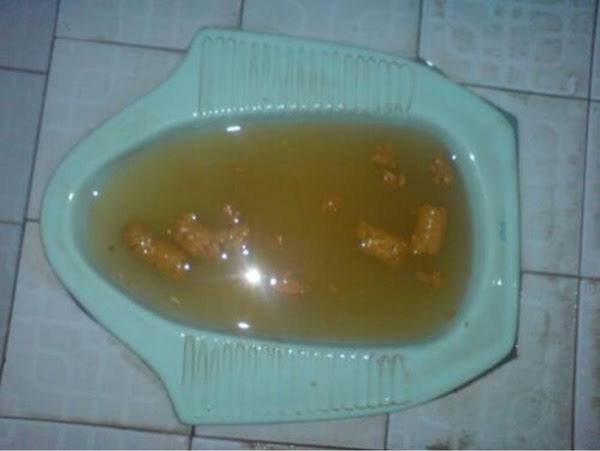 Cek Solusi WC Meluap Keluarkan Tinja dan Air Kecoklatan