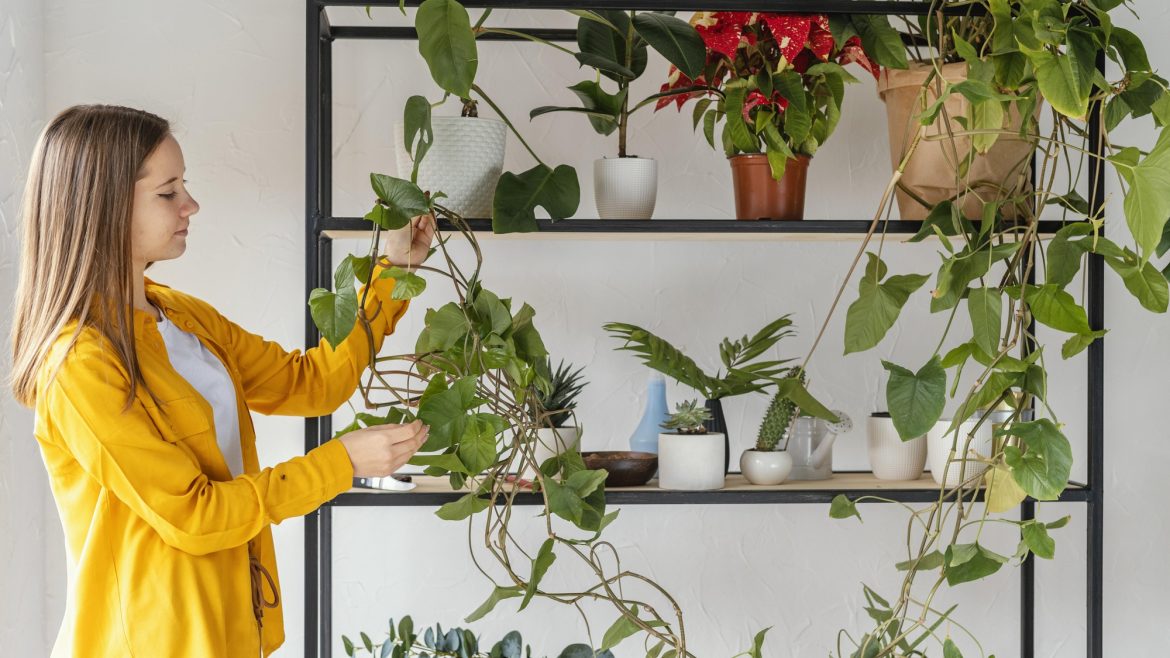 Cara Membuat Vertikal Garden, Ini Contoh Desainnya