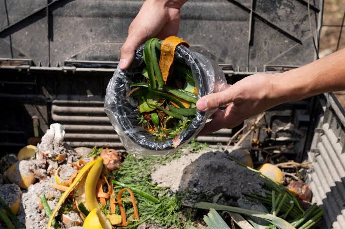 Solusi Mengatasi Limbah Sisa Makanan dengan Tepat dan Praktis