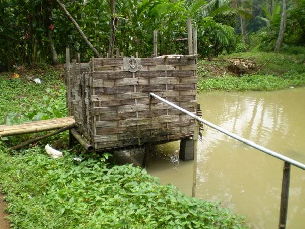 Dampak Buang Air Besar Sembarangan (BABs) dan Solusinya