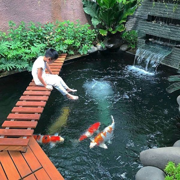 Desain Kolam Ikan Depan Rumah Tampak Aesthetic