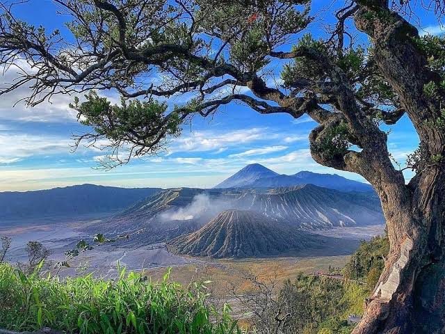 25 Hotel Mewah Pasuruan Terdekat Gunung Bromo