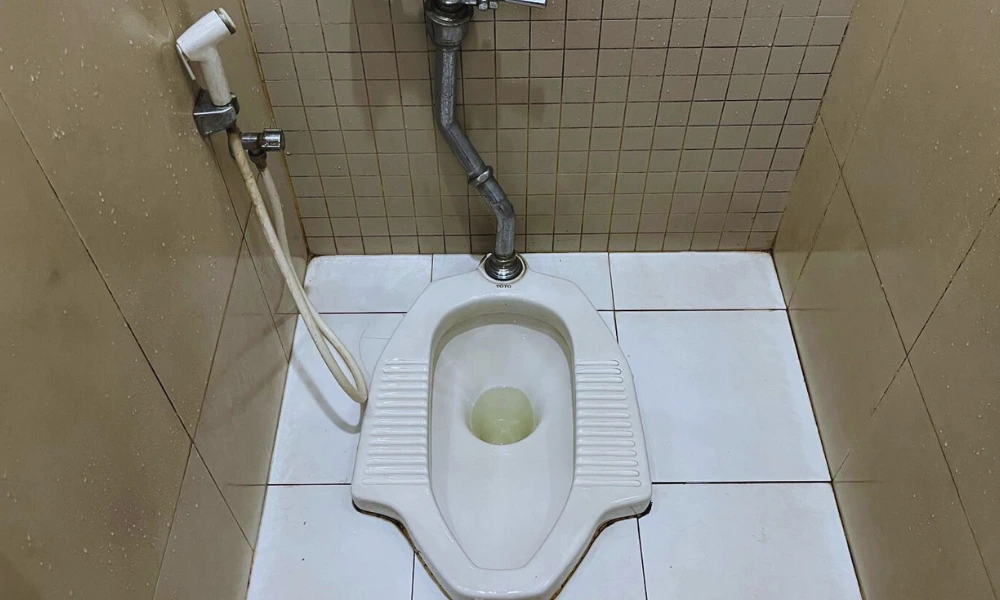 Perbedaan Kloset Leher Angsa dan Plengsengan